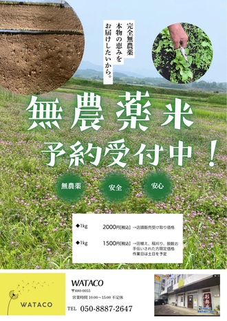 無農薬米予約受付中